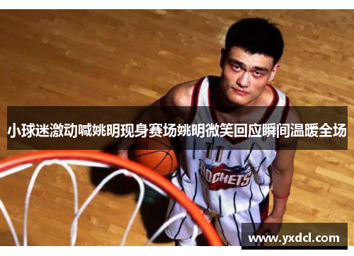 小球迷激动喊姚明现身赛场姚明微笑回应瞬间温暖全场