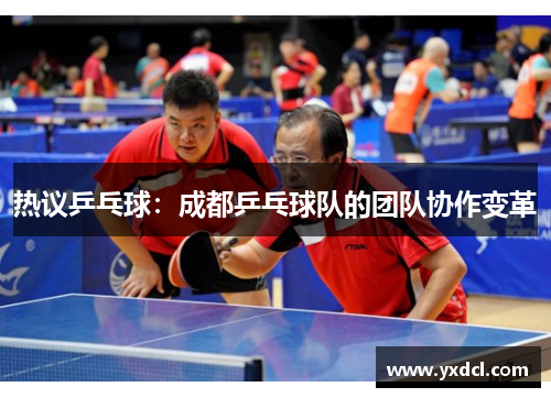 热议乒乓球：成都乒乓球队的团队协作变革