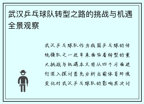 武汉乒乓球队转型之路的挑战与机遇全景观察