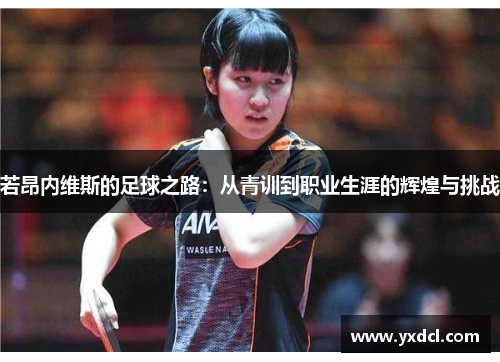 若昂内维斯的足球之路：从青训到职业生涯的辉煌与挑战